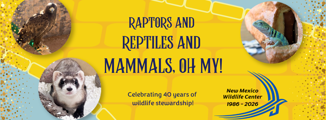 Raptors and Reptiles and Mammals, Oh My!